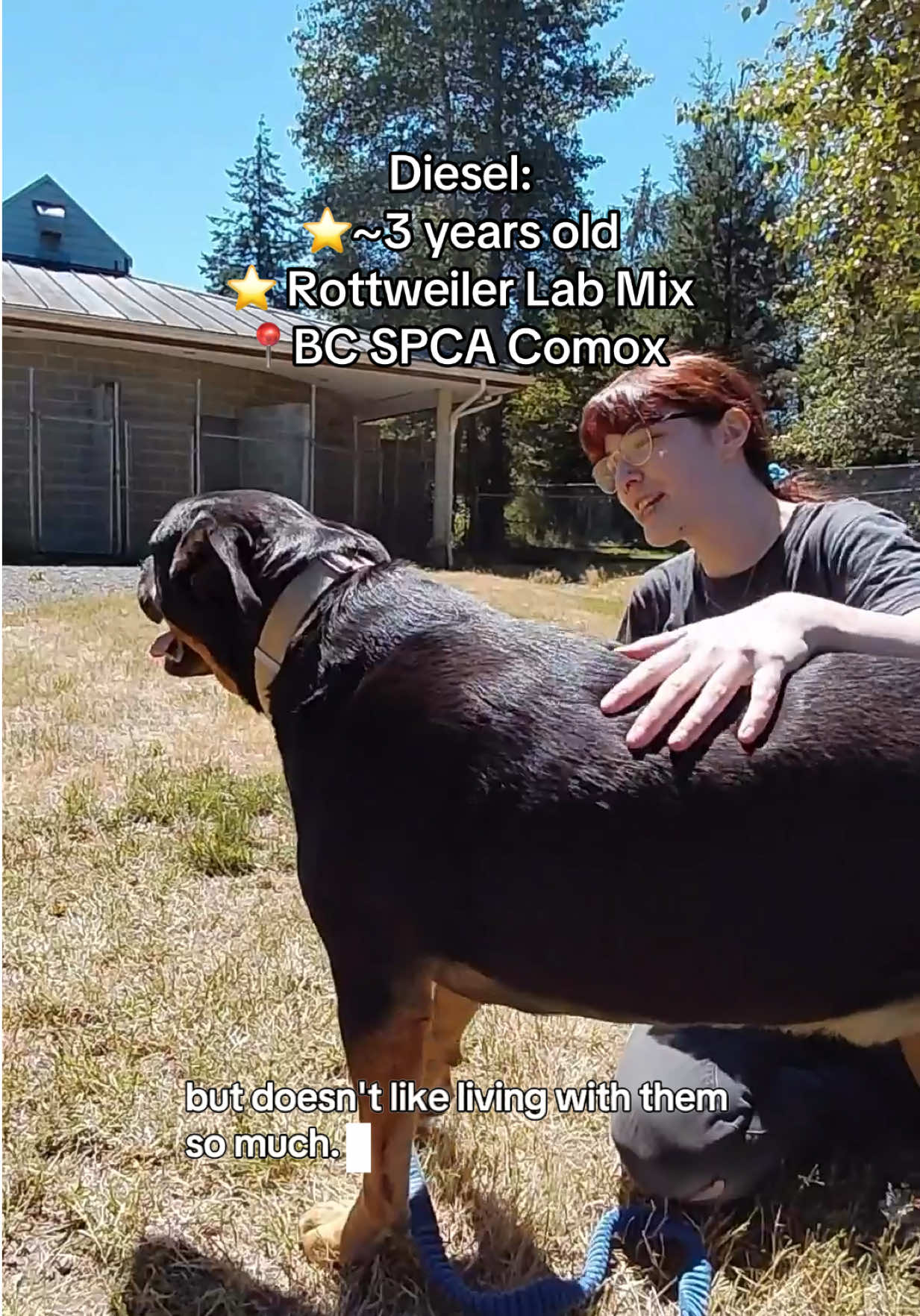 @BC SPCA