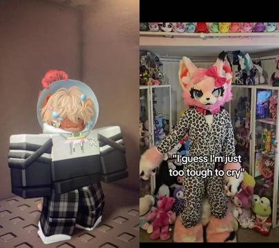@Rilo the Fox