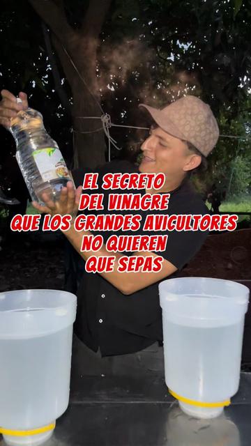 @elmagnatedelospollos