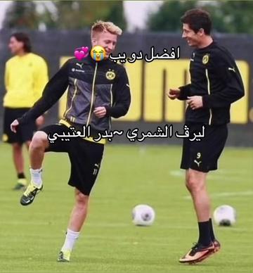 @انستاوي