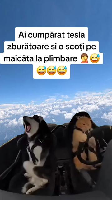 @Irimia Vasilică
