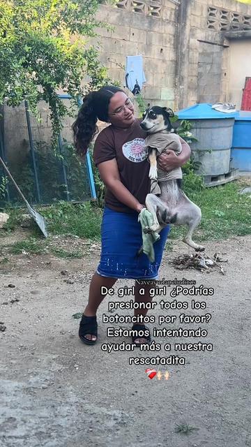 @NayeAyudaPeluditos