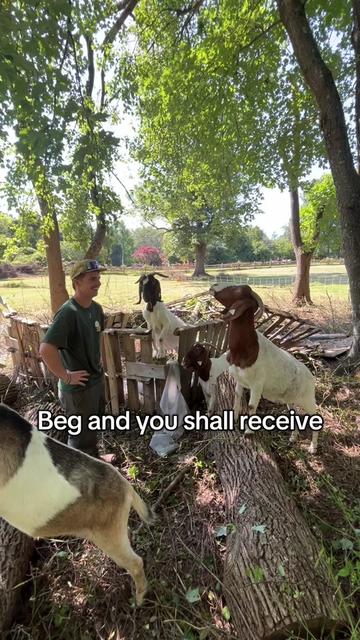 @amazingrazinggoats