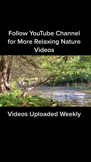 @Nature&rsquo;s Sounds