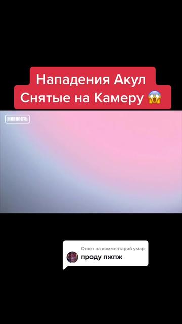 @Живность