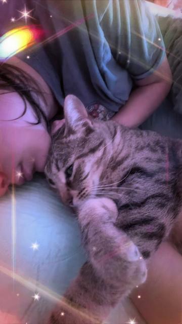 @Tokio Drift The Cat