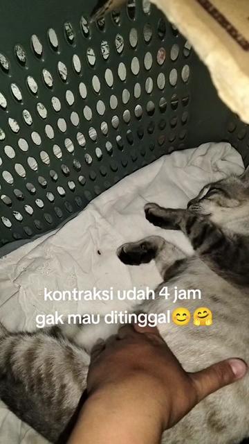 @Miii