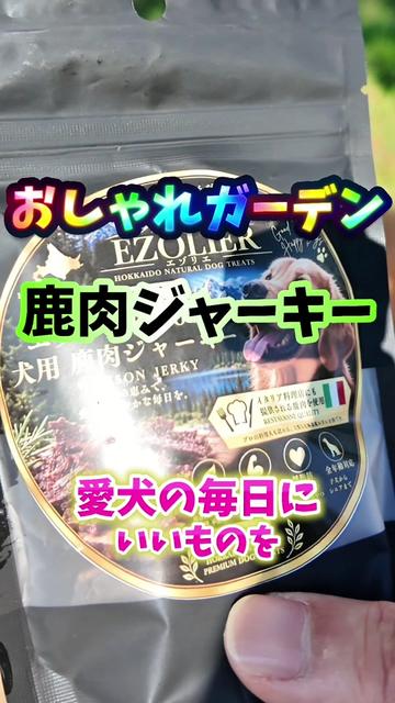 @T.W🎭塗装特化型86