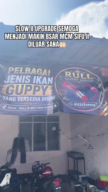 @RULL GUPPY MINI HOUSE🏘️