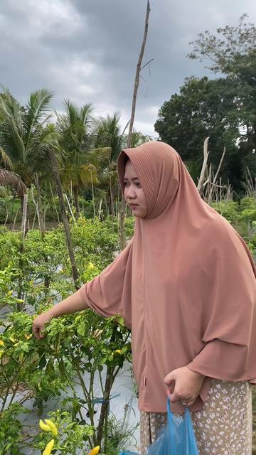 @Dianlestari.co