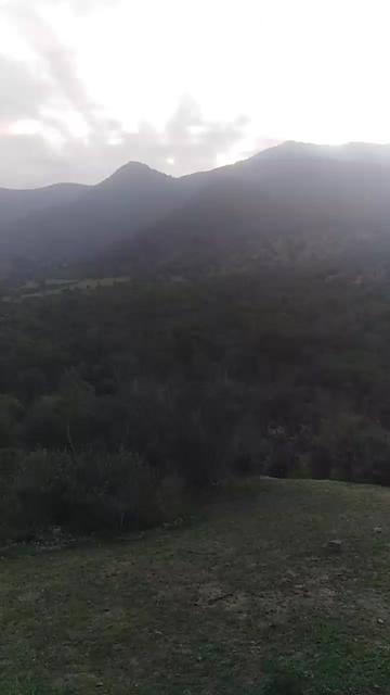 @vfaunreyes