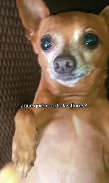 @Jessica Orria Vazque