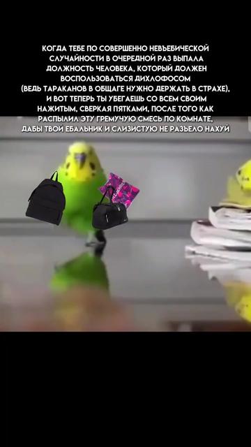 @ëжик