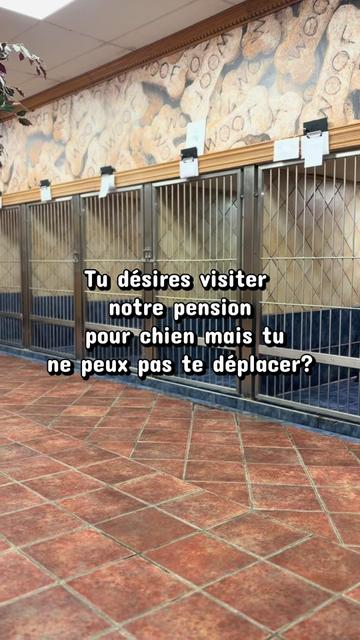 @centrecanindesruisseaux