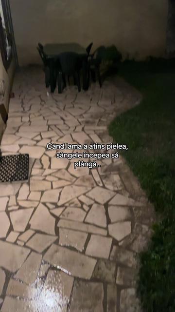 @qx.citate