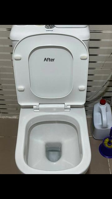 @Tilescleaner Toiletcleaner