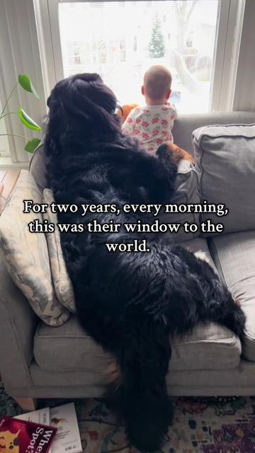 @Ivy the Berner