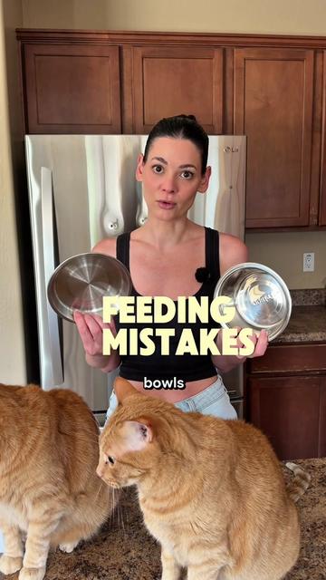 @Feminist Kitty | Cat Nutrition