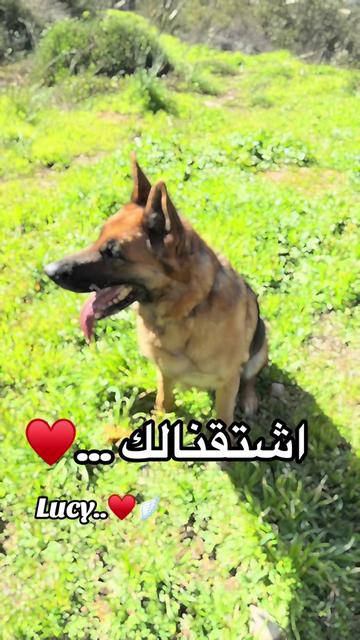 @CAndy-♡