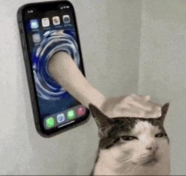 @Adamior