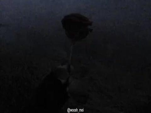 @𝓶𝓪𝓲𝓲✮⋆˙♡