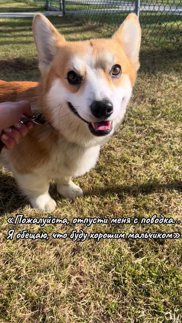 @Alina Golban