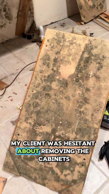 @Long Island Mold Guy