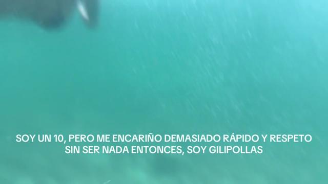 @Aidita Valenzuela