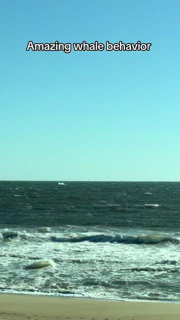 @SurfcastNJ Joe Gray