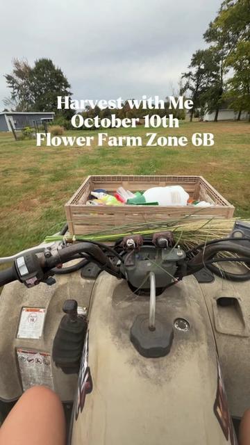 @Blessed Blooms Flower Farm🌷🪴