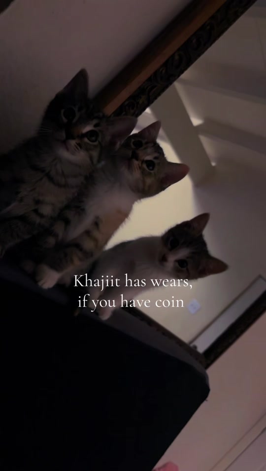 @𝒥𝑒𝓈𝓈𝒾♥