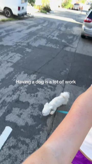 @caitlyngiannini
