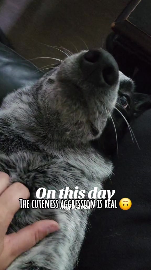 @HEELER GANG