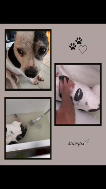 @💓🐾💙🐾