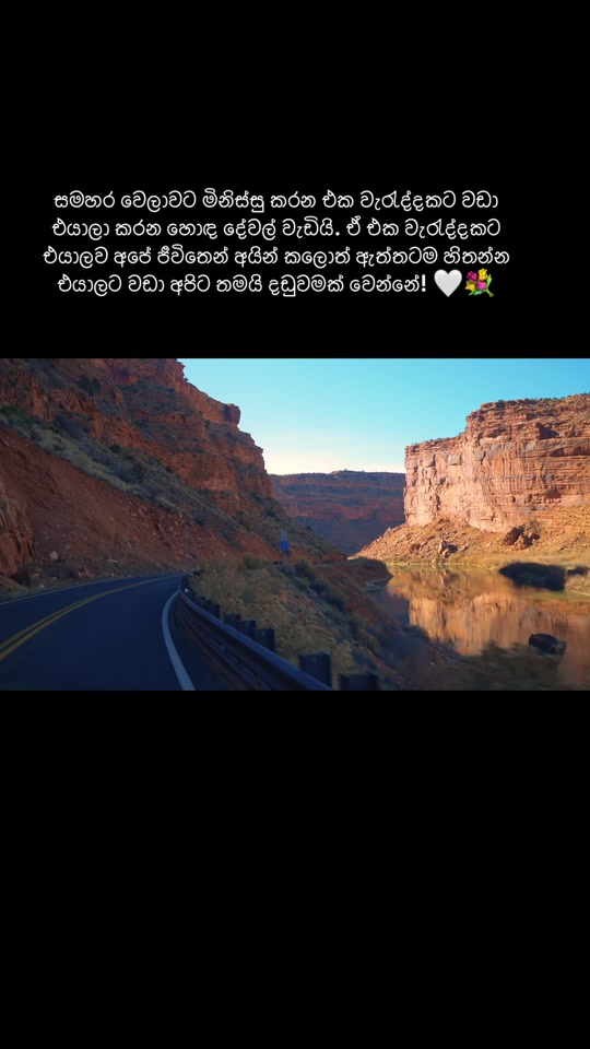 @Life Nature Aus