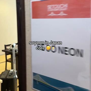 @se so neon fan hub