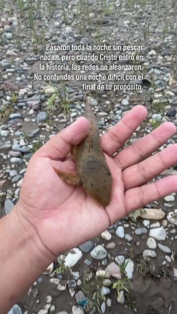 @Roiser Sánchez