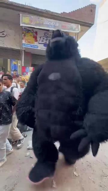 @بودا بتاع غوريلا🦍🔥
