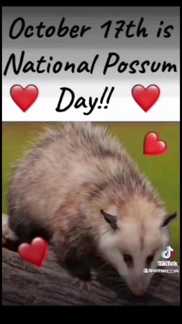@LoneWolfKritterKam