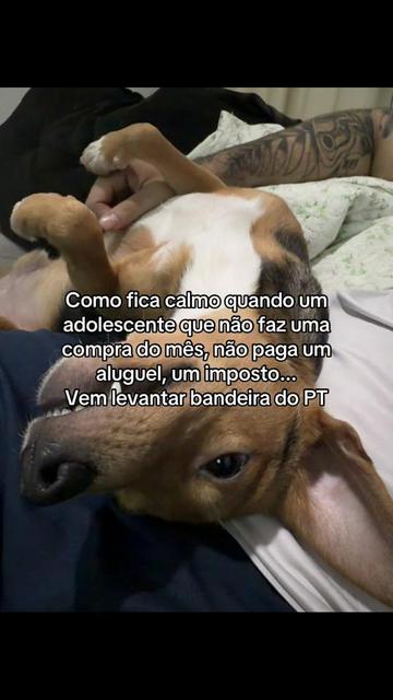@Mairla ✨