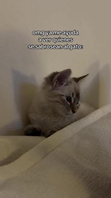 @𝓥 𝓪 𝓷 𝓷 𝓮