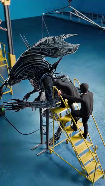 @Zack D. Films