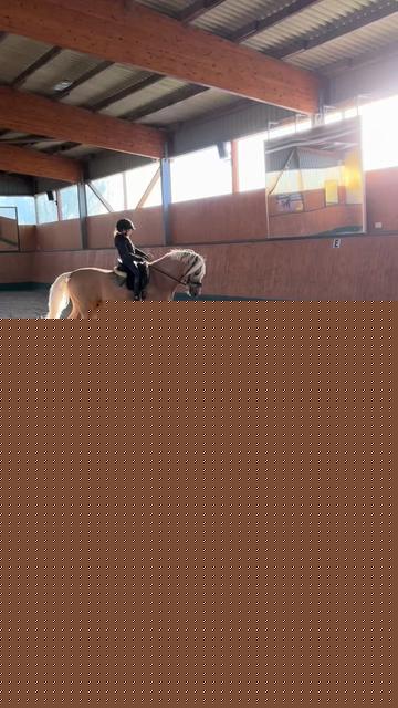 @Shanea & ihre Ponys &hearts;️🐴