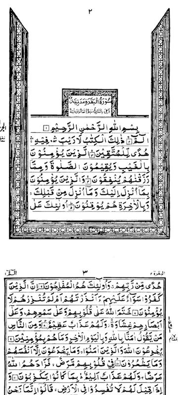 @Quran's Faizan