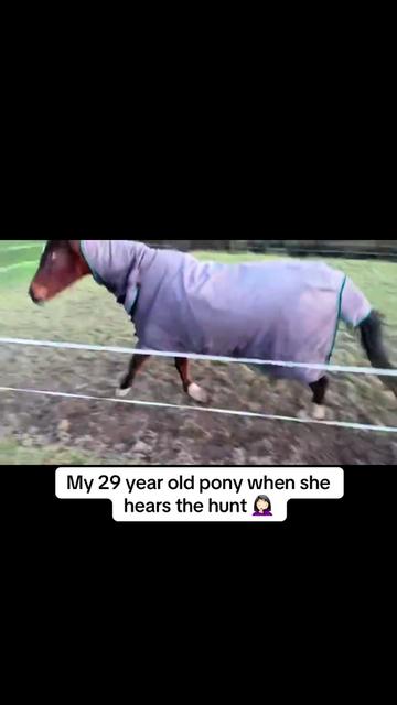 @jodiehenley