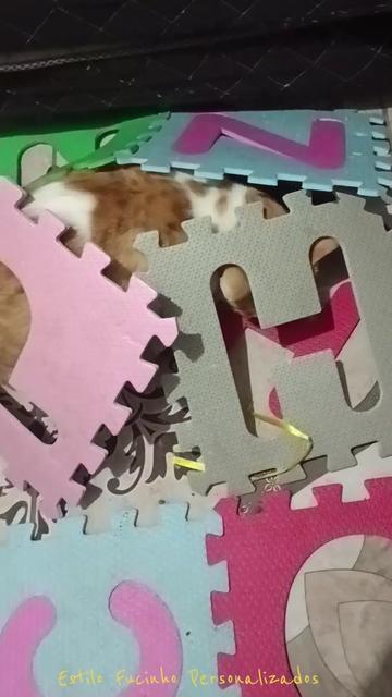 @Estilo Fucinho😻Personalizados