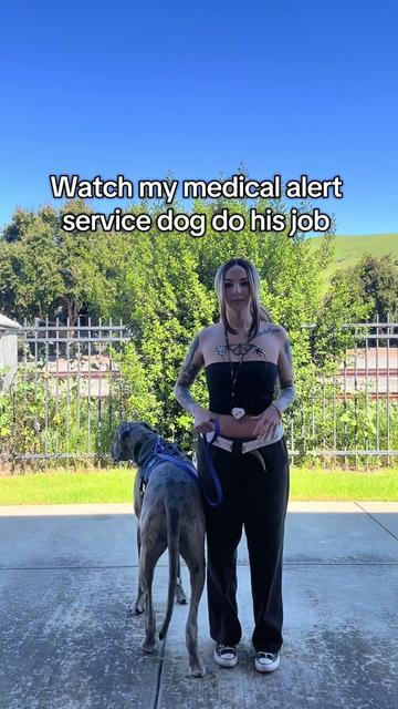 @lex 🐺⛓️