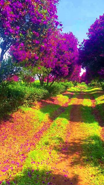 @Nông Trường olong Tằng Vĩnh An