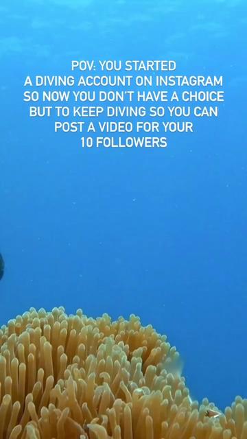 @Scuba Diving with Ara