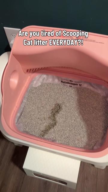 @Hannah | ADHD Mom Hacks